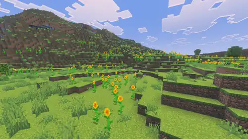 Sunflower Plains Vibrant Visuals.png: Infobox image for Sunflower Plains the biome in Minecraft