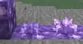 The first image of amethyst buds.