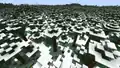 A snowy taiga single biome world before 1.18.