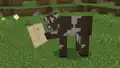 A cow holding a map.