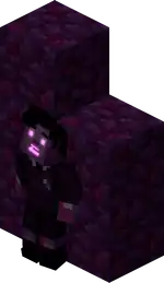 MCSM Schoolboy (Withered).png: Infobox image for Schoolboy the character in Minecraft