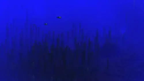 Deep Ocean.png: Infobox image for Deep Ocean the biome in Minecraft