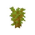 Acacia Sapling.png: Infobox image for Acacia Sapling the block in Minecraft