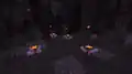 Particles above open eyeblossoms.