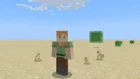 Bedrock 1.21.80.22 PatchNotes.jpeg: Infobox image for Preview 1.21.80.22 the version in Minecraft