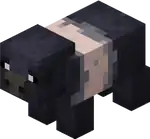 Sooty Pig.png: Infobox image for Sooty Pig the entity in Minecraft