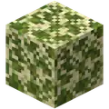 Mossy Sand