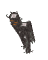 Creaking walking