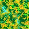 A map showcasing biome generation in Java Edition Alpha 1.2.