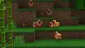 Warm chickens on a grassy ledge.