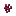 Invicon Nether Wart.png: Inventory sprite for Nether Wart in Minecraft as shown in-game linking to Nether Wart with description: Nether Wart