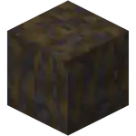 Muddy Mangrove Roots.png: Infobox image for Muddy Mangrove Roots the block in Minecraft