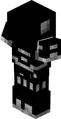 Snout armor trim