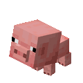 Baby pig idle