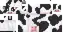 Dairy Cow