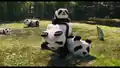 Pandas as seen in A Minecraft Movie.