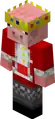 Technoblade's personal skin.