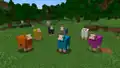 Sheep variants in Java Edition 25w07a.