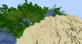 A desert with a jungle right beside it.