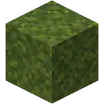 Moss Block.png: Infobox image for Moss Block the block in Minecraft