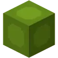 Studio Floor Symbol Green