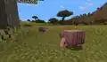 The first image shown of the armadillo's second texture iteration.