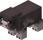 Pink Footed Pig.png: Infobox image for Pink Footed Pig the entity in Minecraft