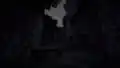 Picture of a pale garden at night.