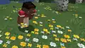 Zuri planting wildflowers.