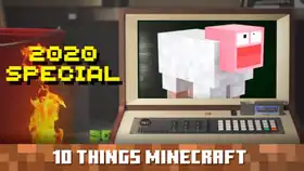 10 Things Minecraft 2020 Special Thumbnail.jpg: Infobox image for Ten Things You Probably Didn't Know About Minecraft the video in Minecraft