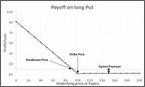 Put payout