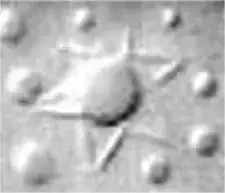 Star from the main image