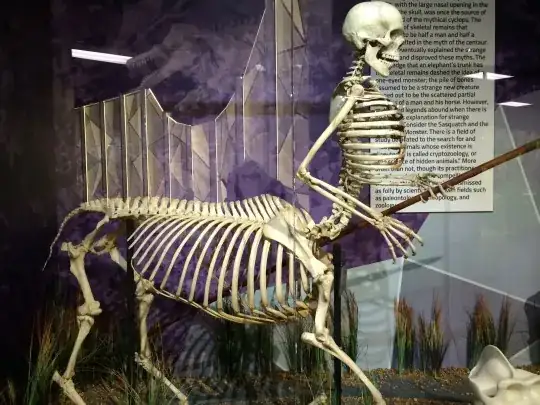 fake centaur skeleton