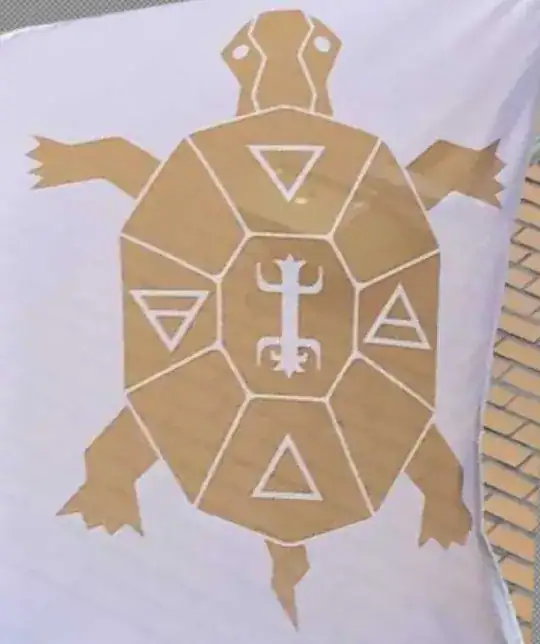 Flag with turtle motif