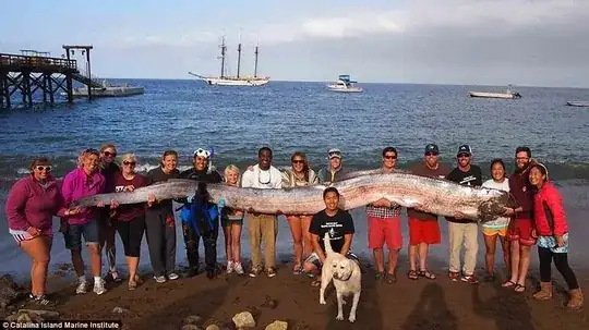 Oarfish