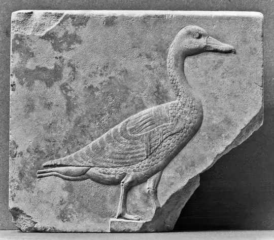 Ancient Egyptian Goose