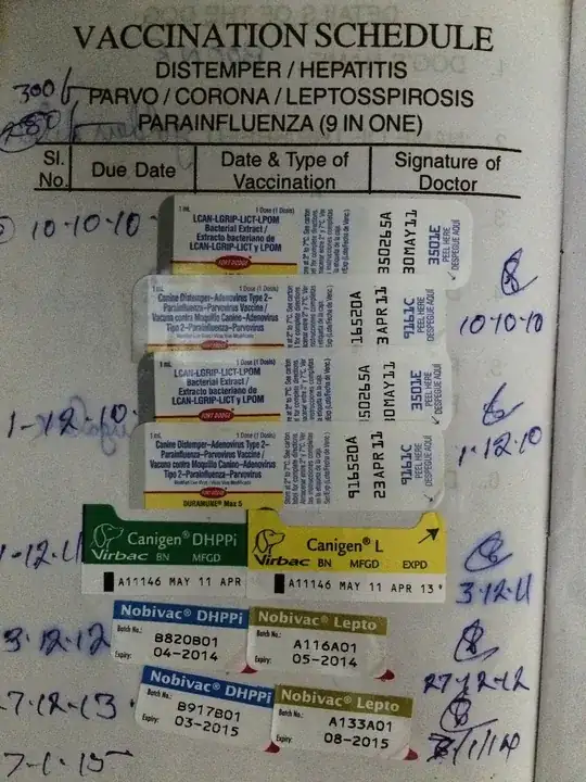 Vaccination schedule for Distemper / Hepatitis Parvo / Corona / Leptosspirosis / Parainfluenza