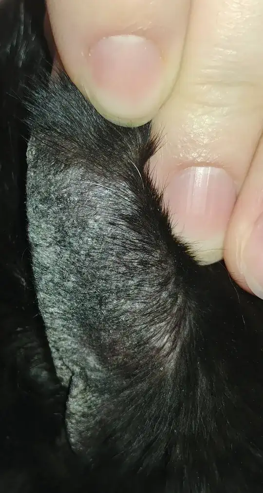 hair loss and scabbing