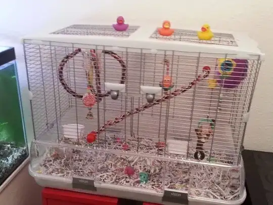 Hagen Vision Cage With Shredded Paper Litter