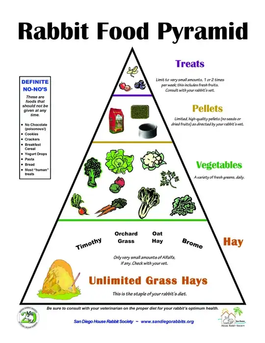 rabbit food pyramid