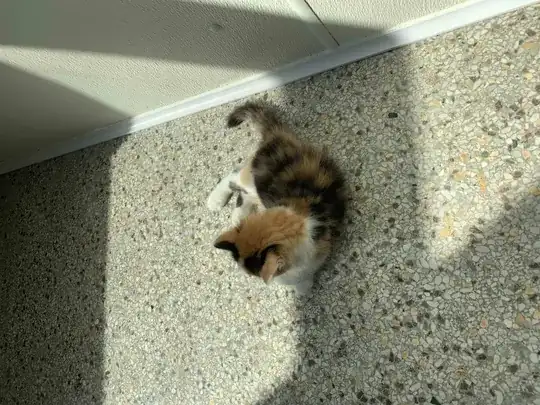 enter image description here