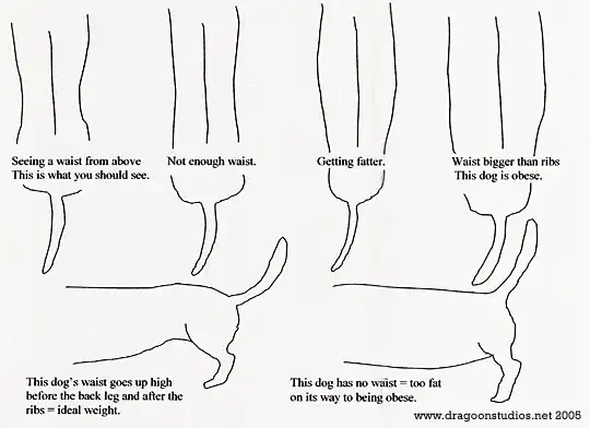 dachshund weight diagram
