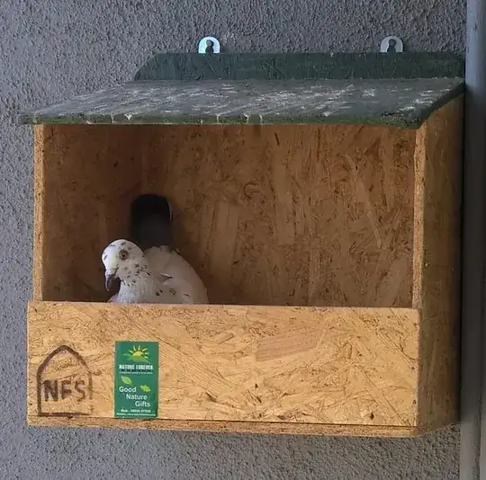 bird1