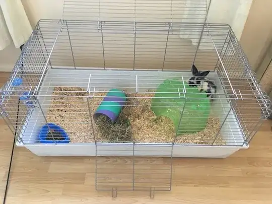 picture of rabbit cage