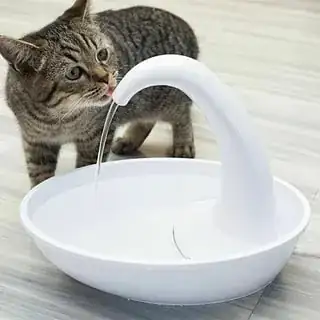 cat water fountain