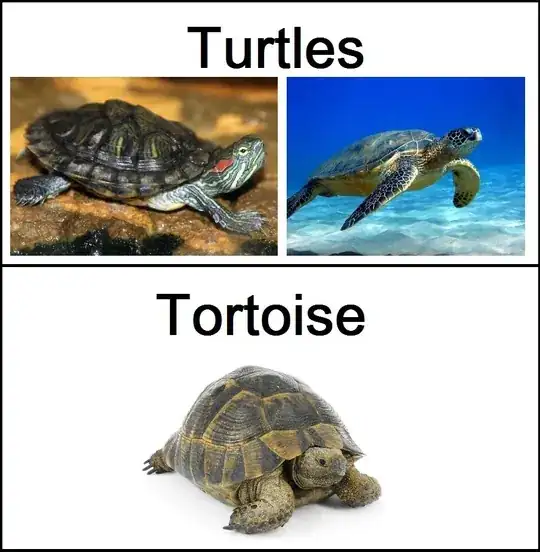Difference between turtles and tortoises
