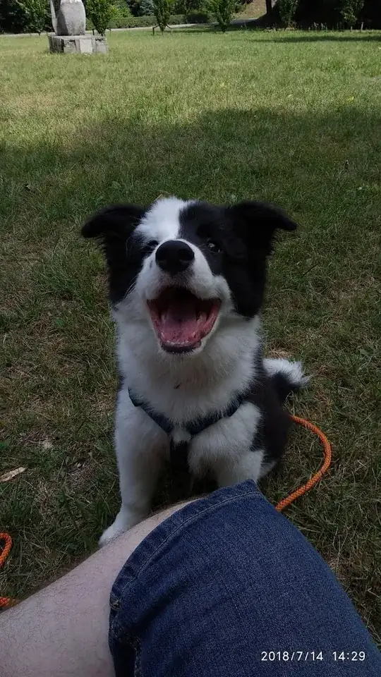 Shiro