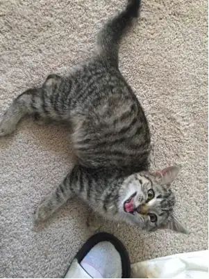 enter image description here