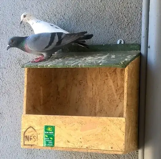 2birds