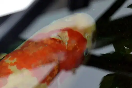 Fish Injury - Photo #3